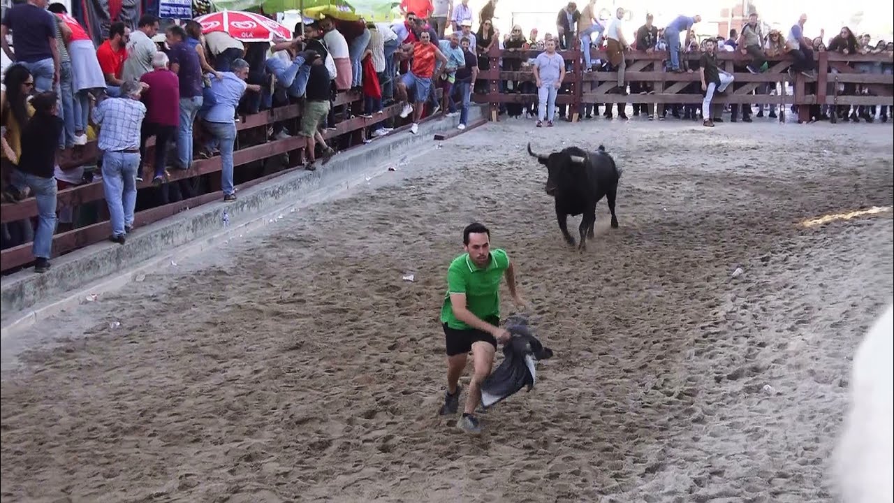 Algumas Imagens De Vila Franca De Xira 2022