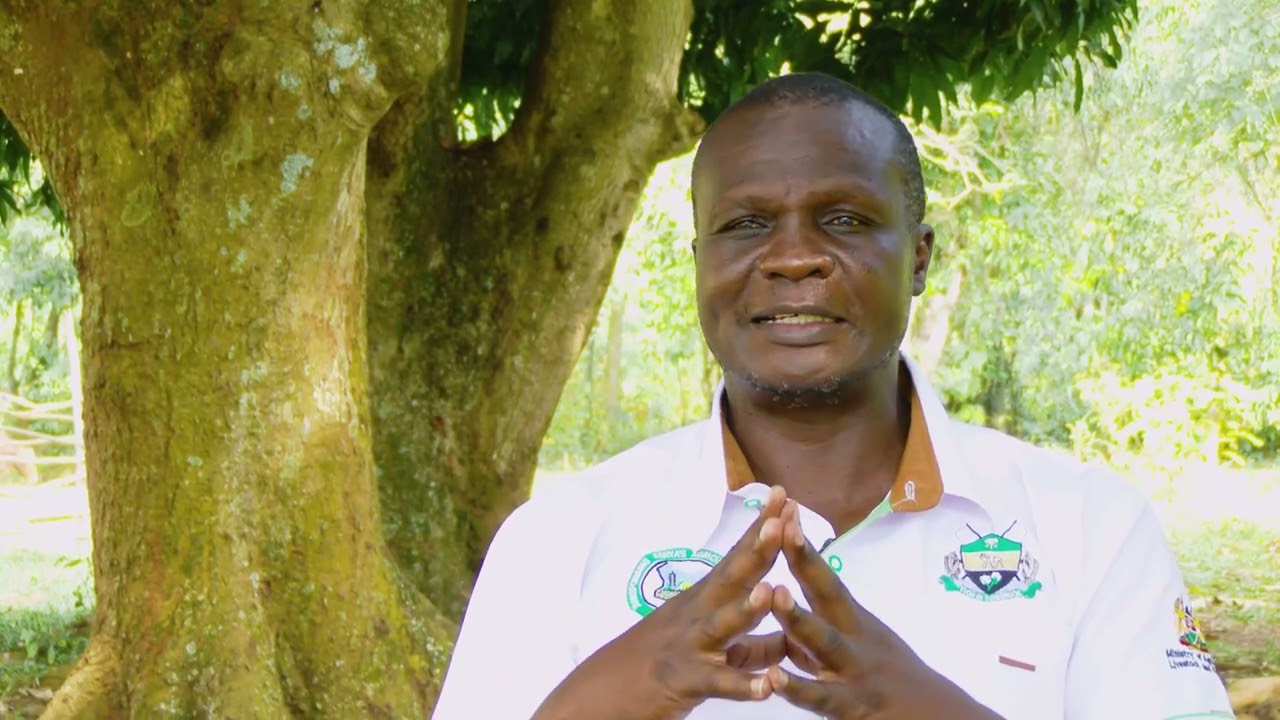ASDSP II Siaya County Success Documentary mp4