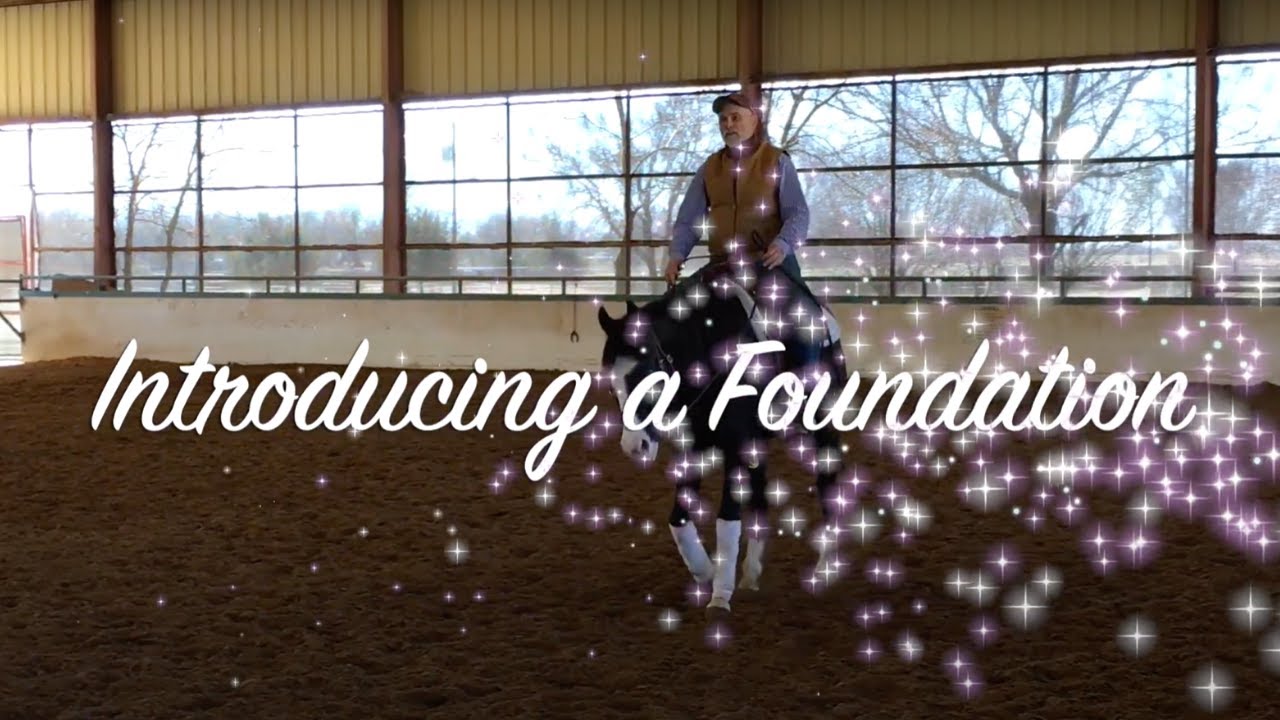 INTRODUCING!!! - A RIDING FOUNDATION!!! - Part 1