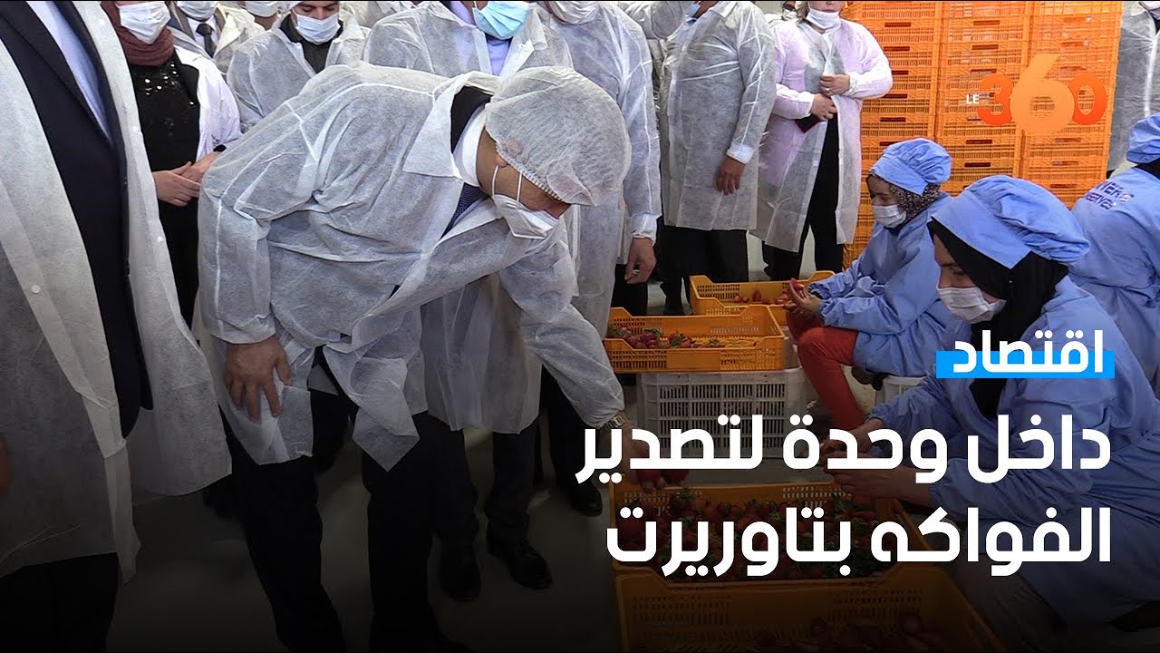 وزير الفلاحة يتفقد وحدة لتجميد وتصدير الفواكه والخضر بتاوريرت