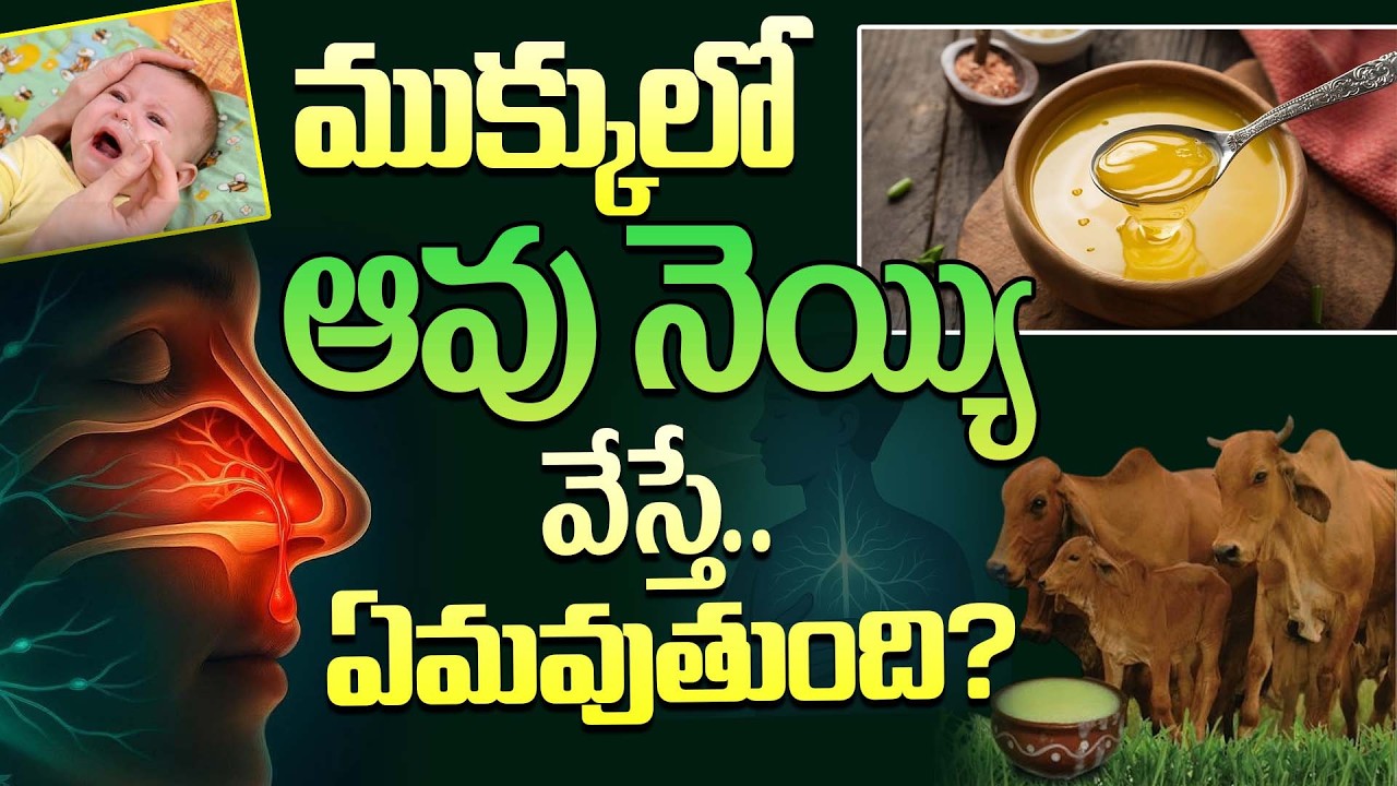 ముక్కులో ఆవు నూనె వేస్తే.. ఏమవుతుంది? | Siddha Vaidyam Secrets | PMC Health