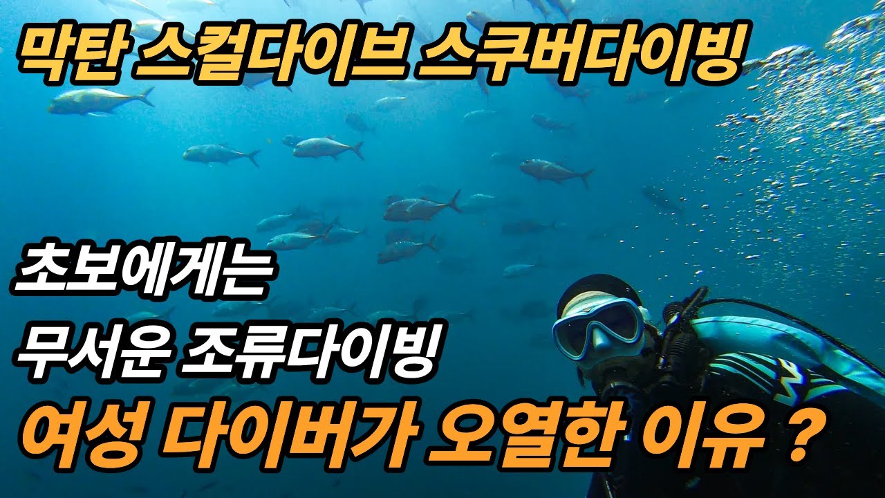다이버가 오열한 이유?조류를 처음 겪은 초보다이버#이세창 #조류다이빙 #스컬다이브리조트 #스컬다이브 #스컬리조트 #세부다이빙 #막탄 #막탄다이빙 #필리핀 #scuba