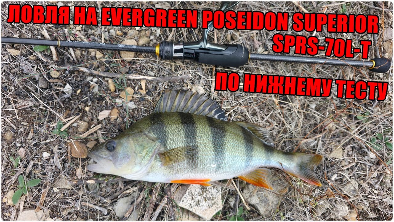 Evergreen Poseidon Superior SPRS-70L-T. Тест по нижнему тесту