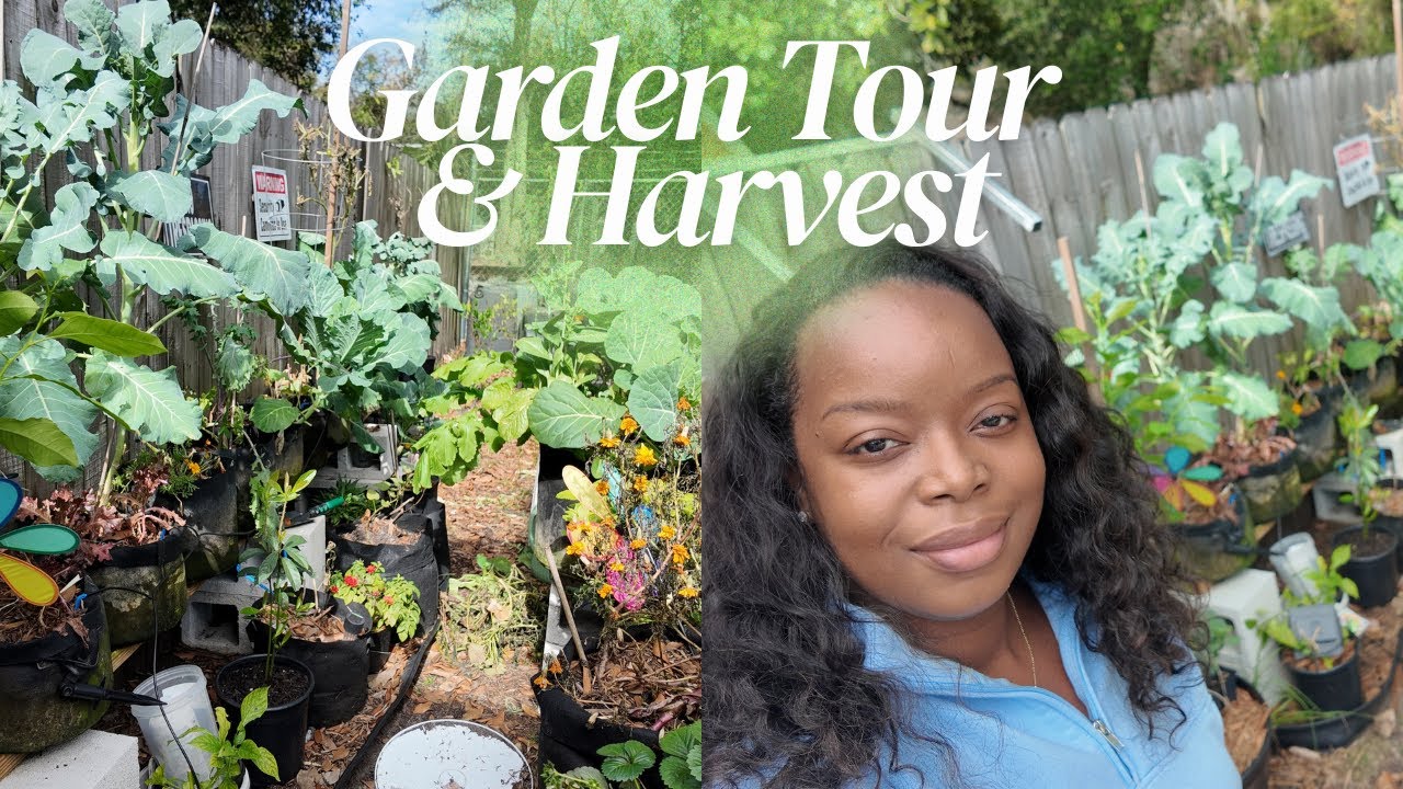 January 2026 Garden Tour + Harvest 