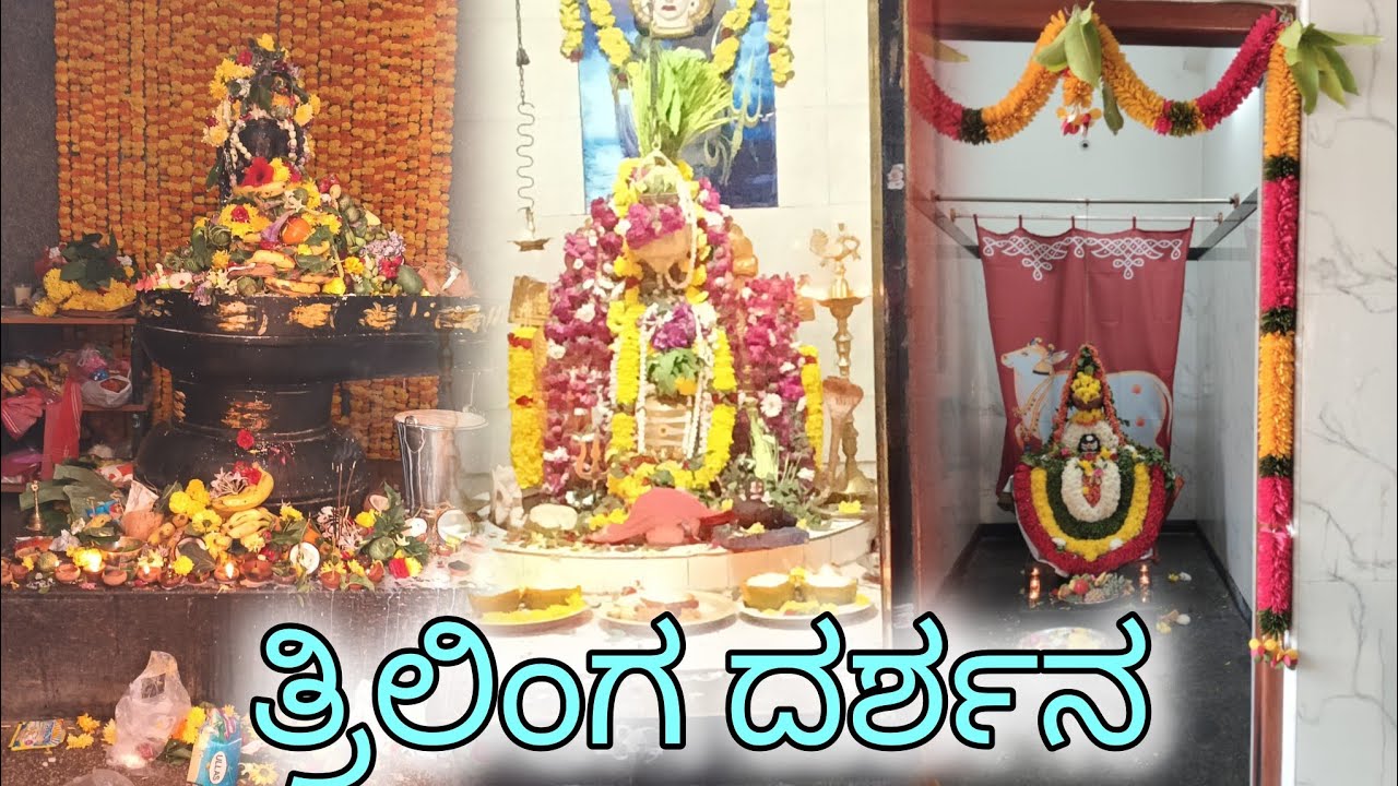 ಶಿವರಾತ್ರಿ ಹಬ್ಬ|ತ್ರಿಲಿಂಗ ದರ್ಶನ|@Divyamanvithvlogs 