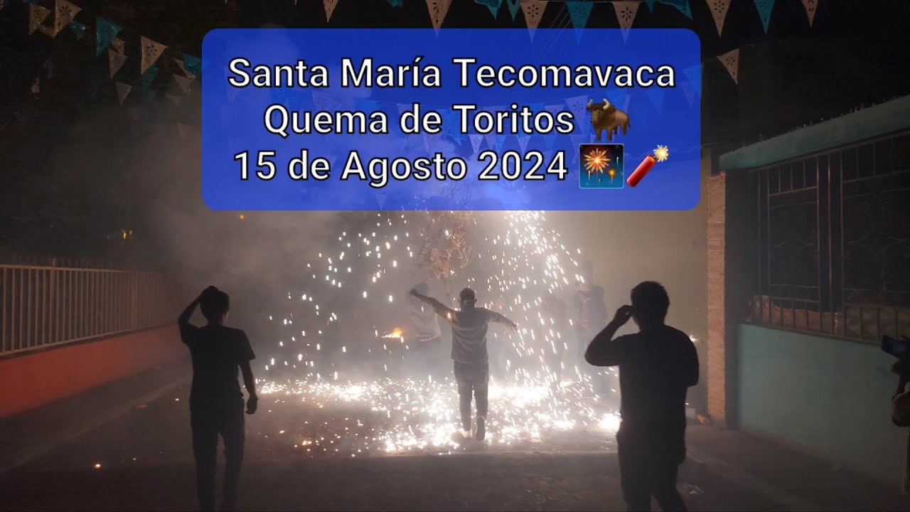 Quema de Toritos Pirotécnicos | Fiesta del 15 de agosto 2024 | Santa María Tecomavaca 2024