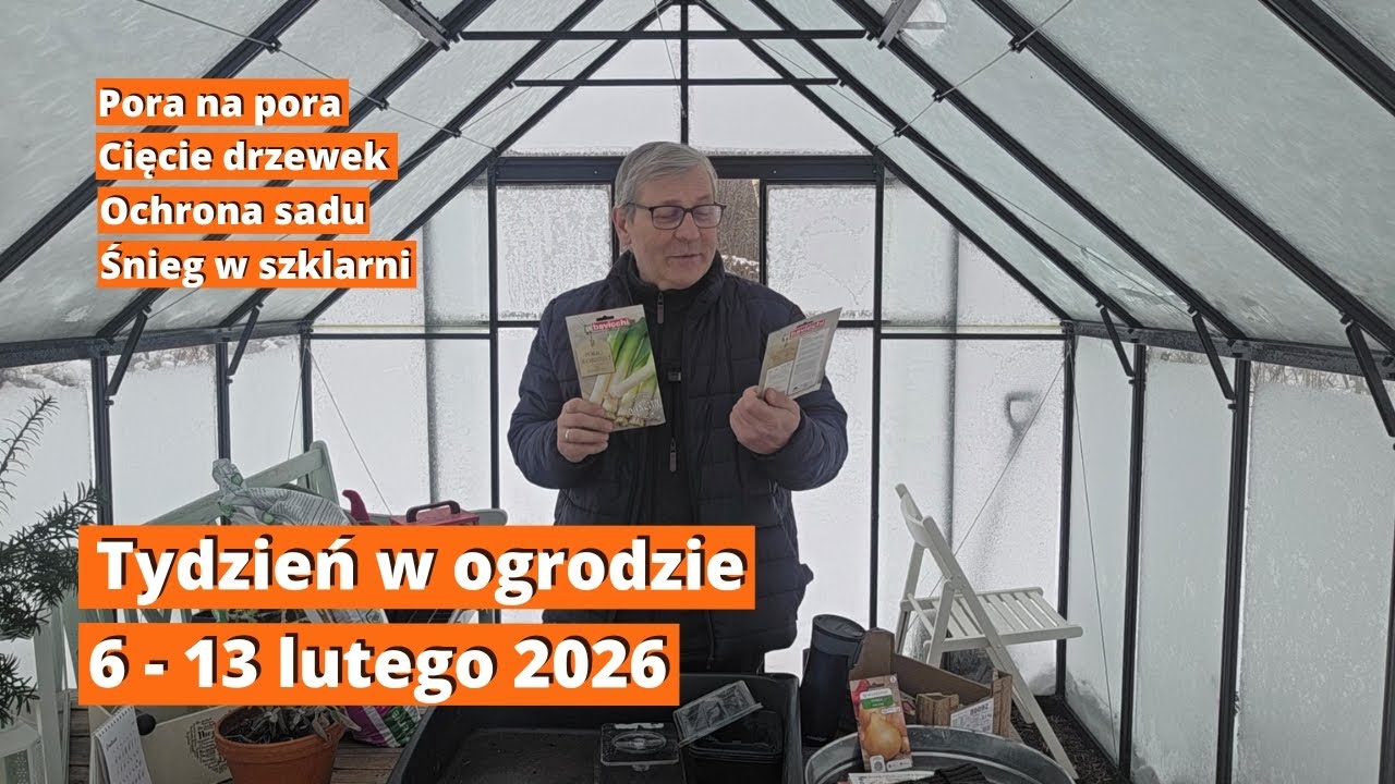 Tydzień w ekologicznym ogrodzie. Co siać i ciąć do połowy lutego? Harmonogram prac 6-13 lutego 2026.
