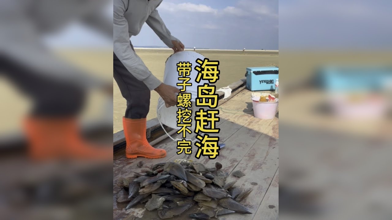 开船去外海赶海好货太多了，带子根本挖不完！！