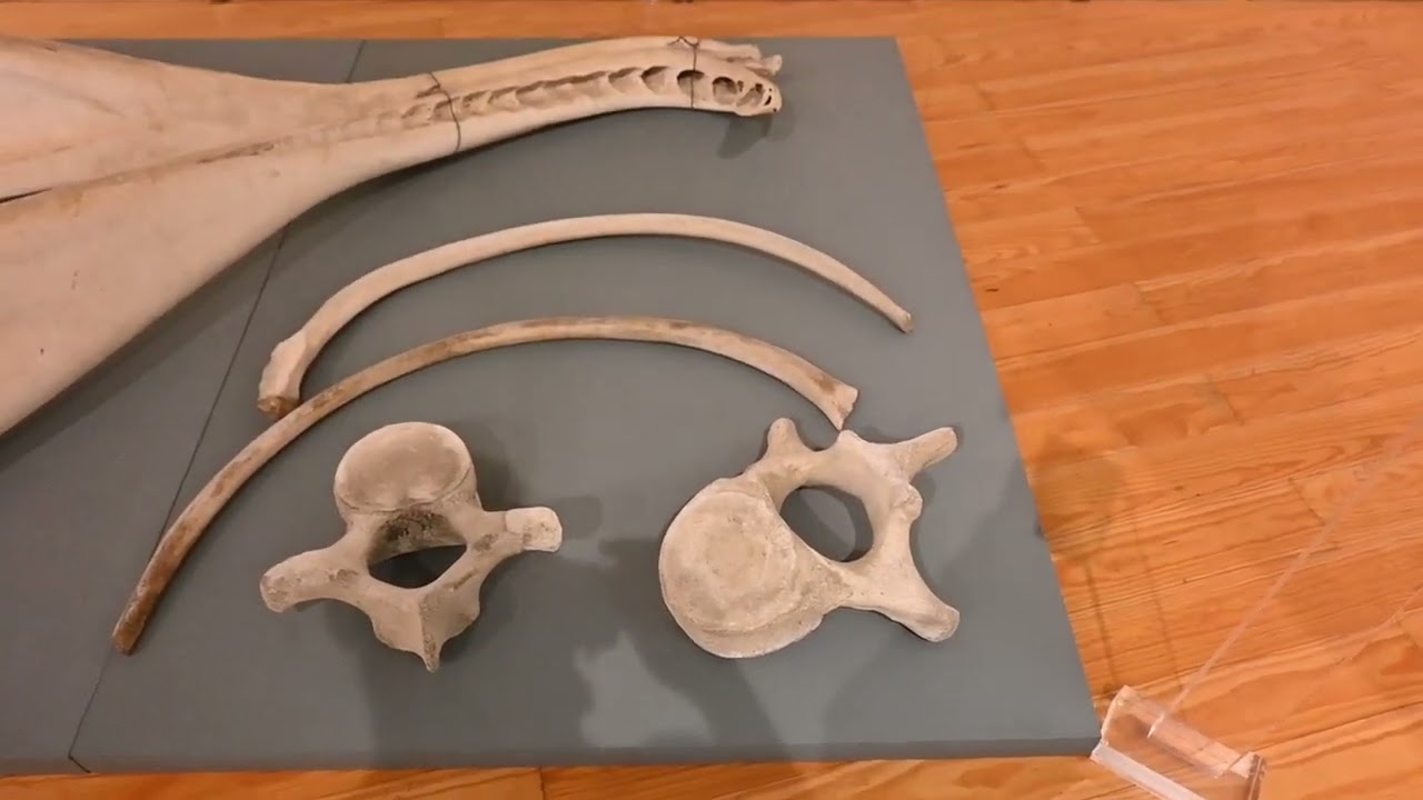 Circuito Açores 2023 Parte 2   Made with Clipchamp