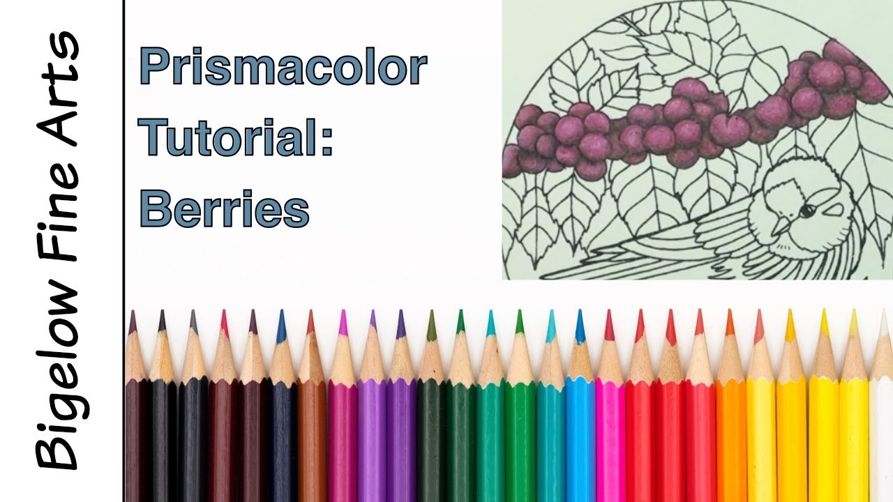 Prismacolor Tutorial Color Along - Birds pt 8: Amethyst Berries