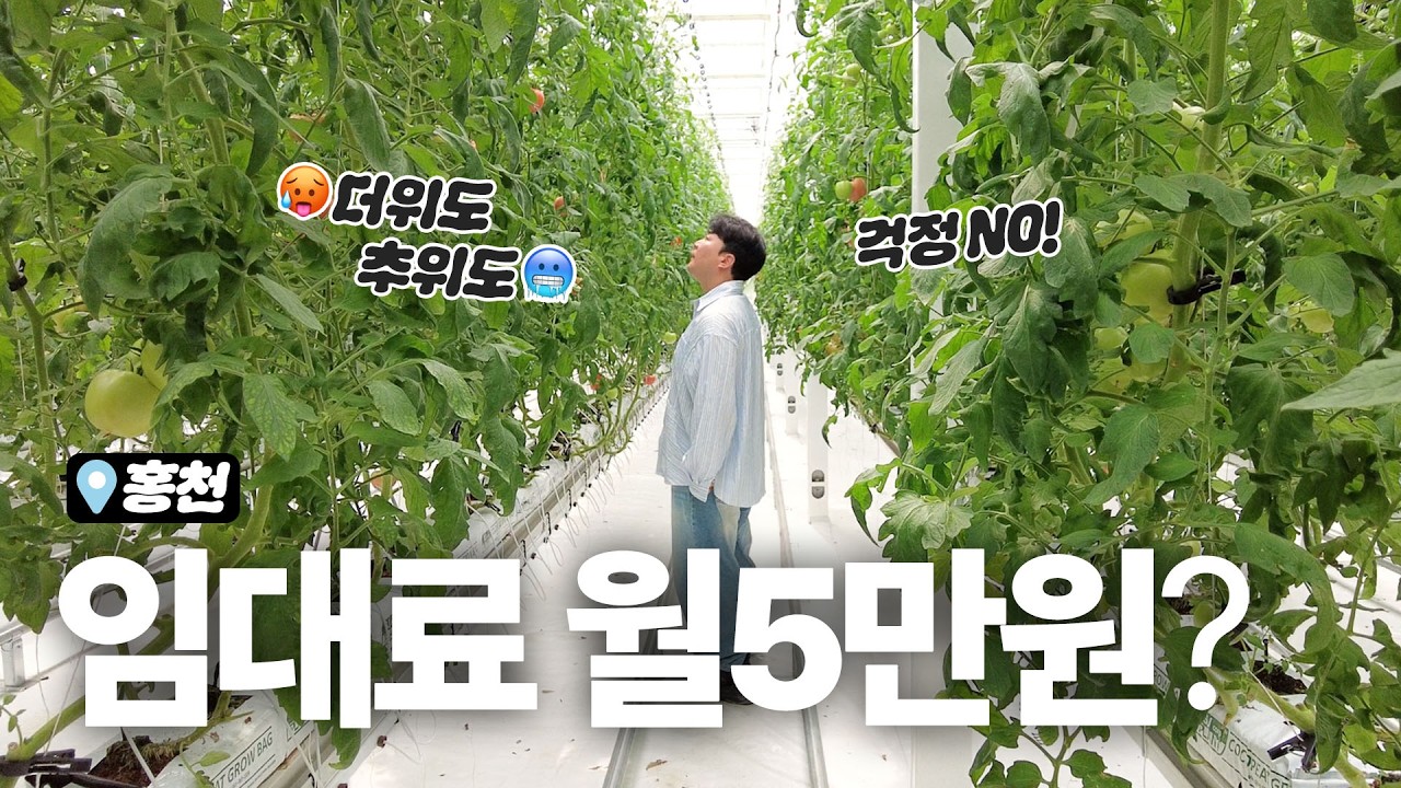 [홍천] 내 땅 없이 시작하는 청년 임대 스마트팜ㅣ일딴 ep.12