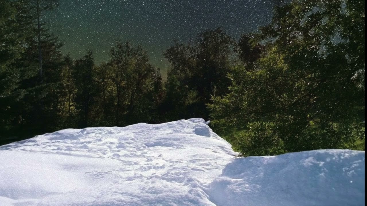 Библейский стих за стихом (6) Судей 14:8-20