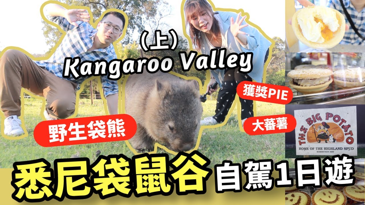 Kangaroo Valley有野生袋熊？超好吃獲獎派 | 櫻花大道 | 大土豆 【悉尼周邊一日自駕】(上集)  Robertson Pie Shop / The Big Potato