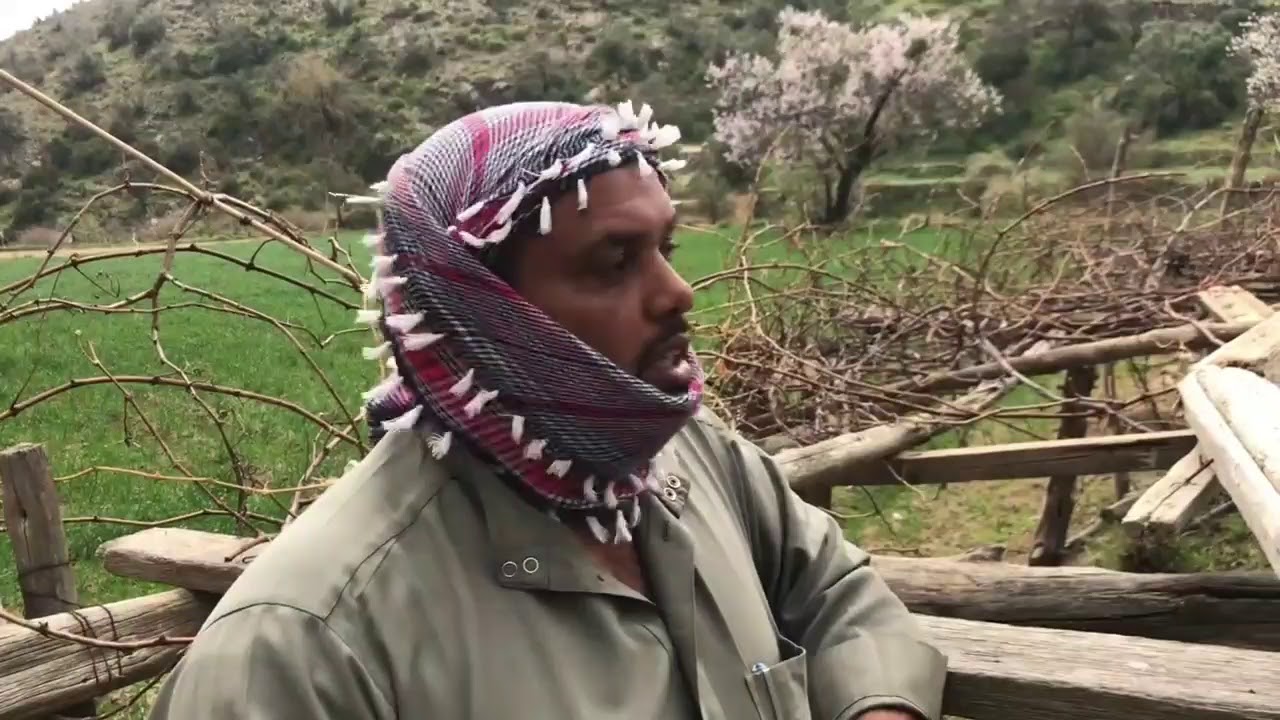 تحْطِيب  الحَبَل ( تقْلِيم العنب )