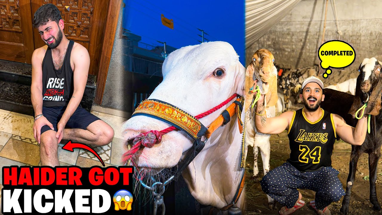 Big Cow Hits Haider During Shower😱Mandi Shopping Completed🙏🏻