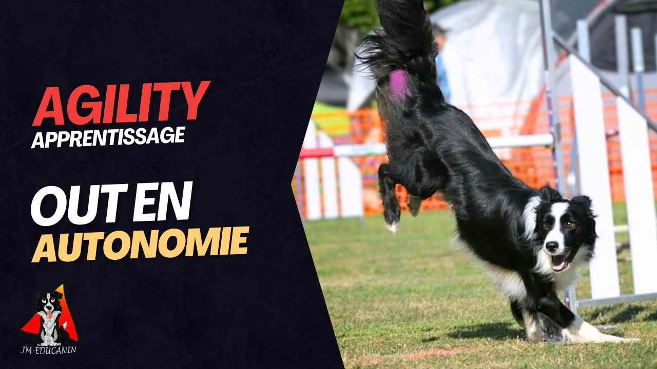 Agility out