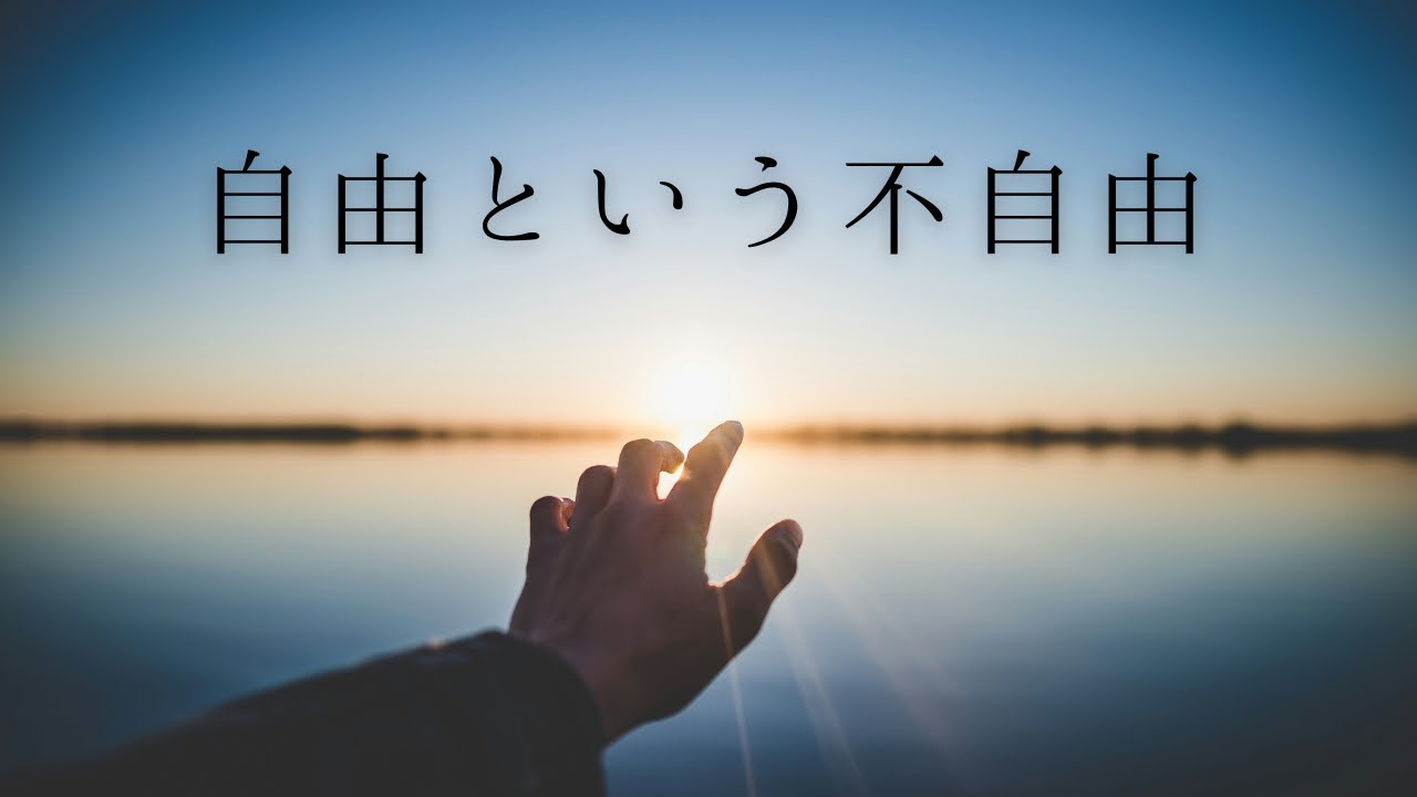 Tokyo Black Hearts『自由という不自由』 Music Video