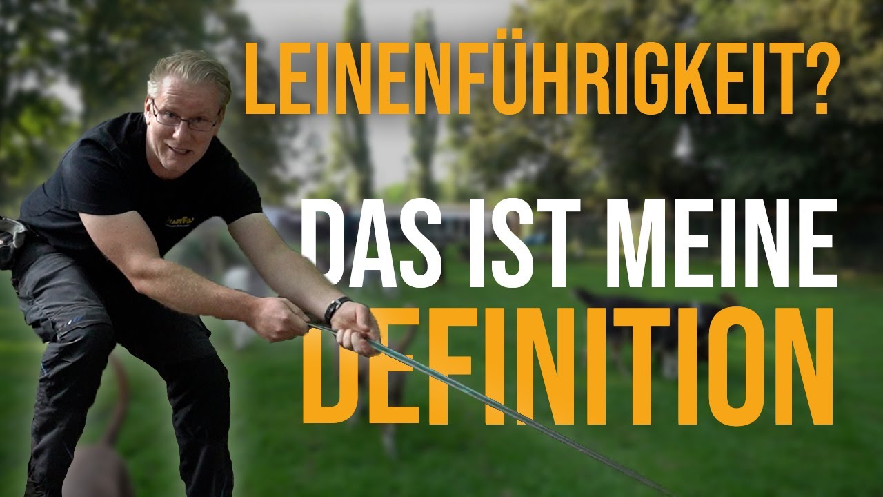 LEINENF&Uuml;HRIGKEIT? 🤔 Was bedeutet das f&uuml;r mich? Das ist meine DEFINITION!