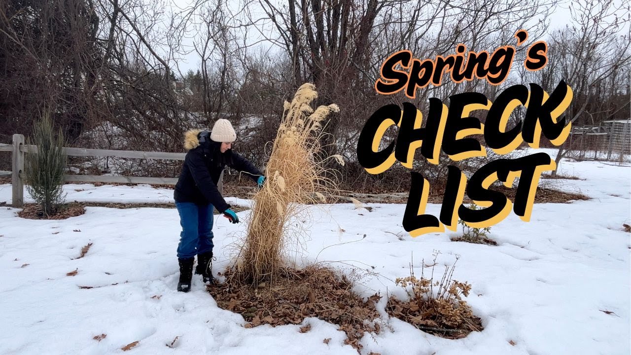 5 Spring Garden Chores You Can't Skip! 🌸 Spring Garden Cleanup 🧹
