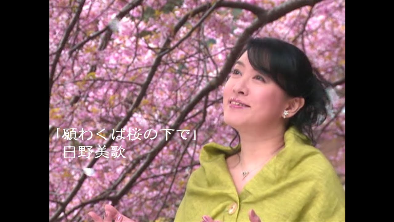 日野美歌「願わくば桜の下で」