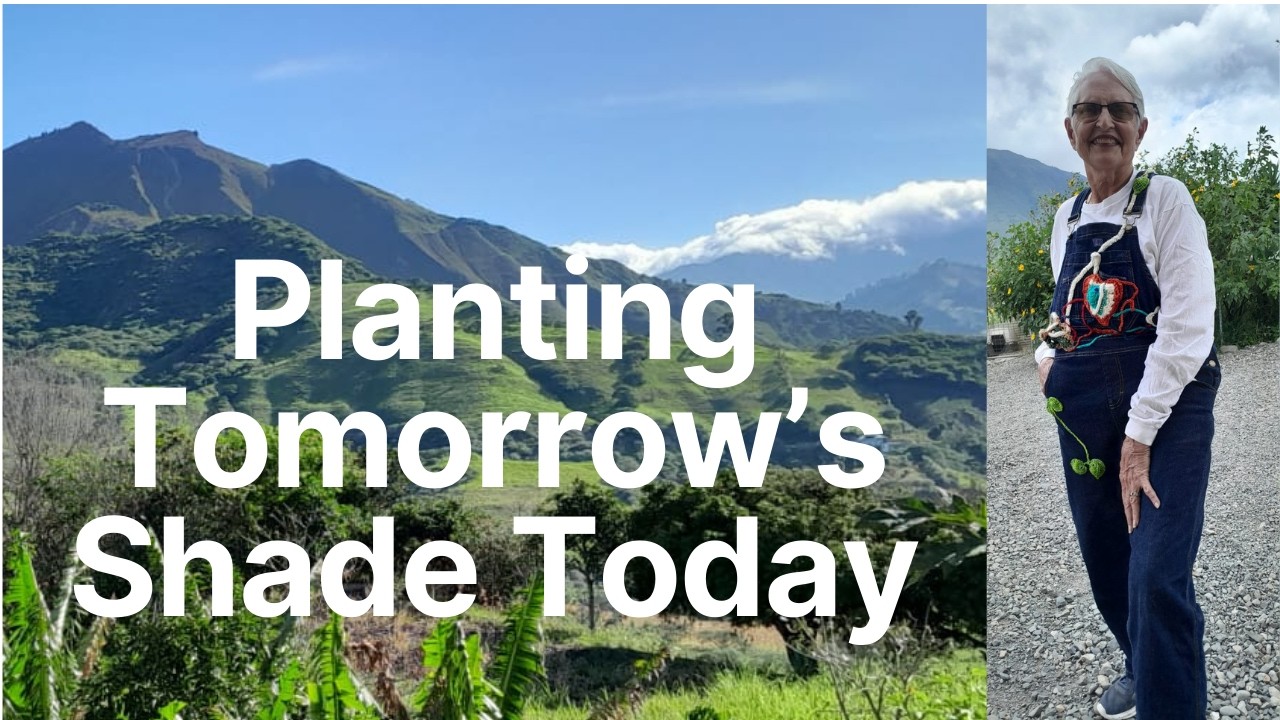 Sustainability: Planting Tomorrow's Shade Today - Respecting our Earth