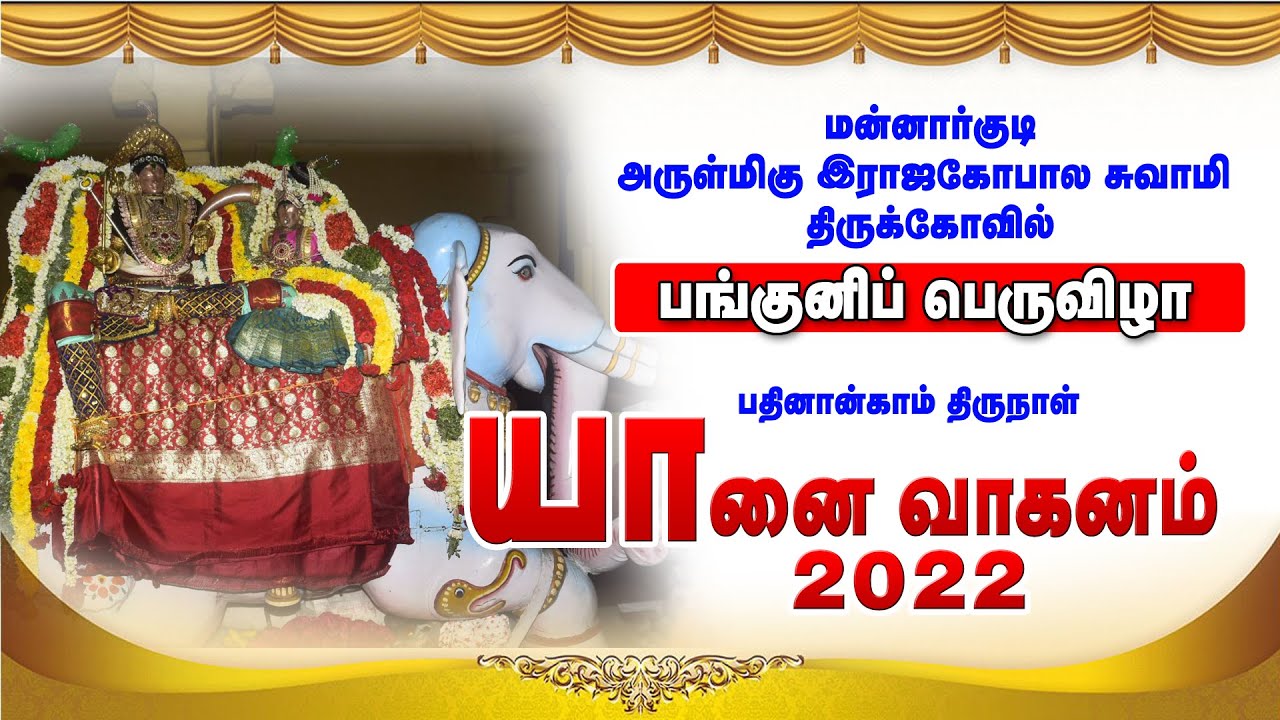 Panguni Bramotsavam Day 14 Yannai Vaganam Sri Rajagopalaswamy Temple Mannargudi | யானை  வாகனம்