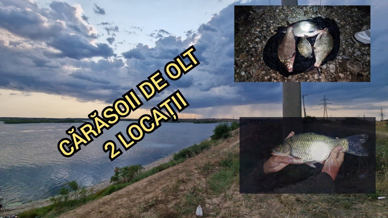CARASOII 2 SUPER LOCATII PE OLT O PARTIDA CAT DOUA . hai la pescuit la pescuit feeder nada buna