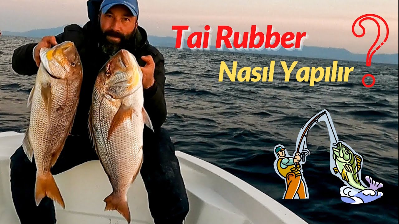 Tai Rubber Avı Nasıl Yapılır? Tai Rubber ile Nasıl Balık Yakalanır?