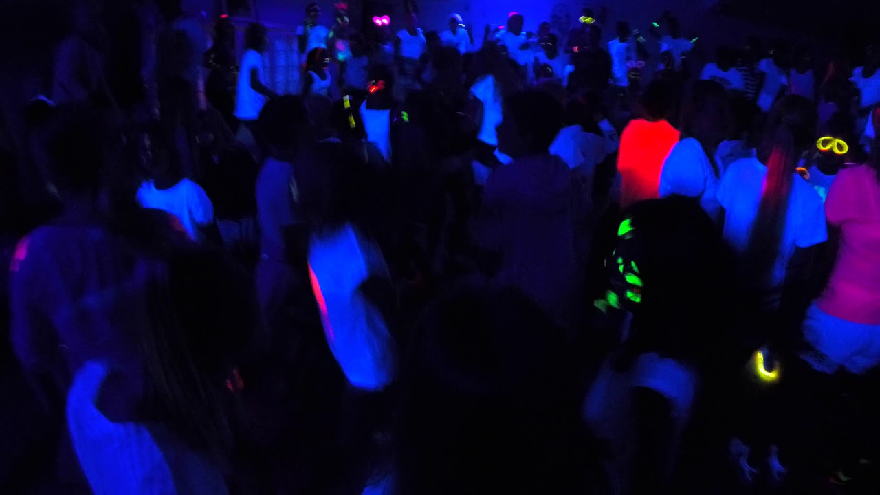 Disco oksnøen 2017