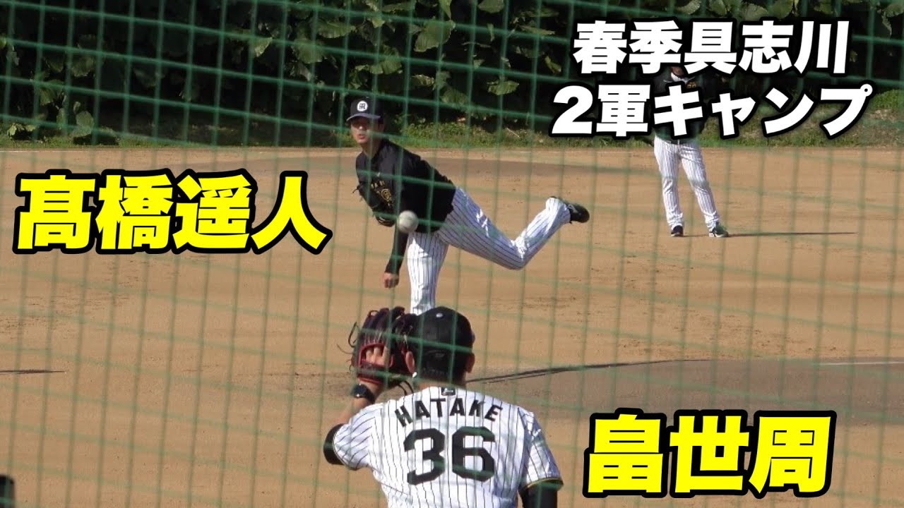 【相変わらずエグい髙橋遥人のキャッチボールがずっと見ていられる！！今年は10勝できるかな？】