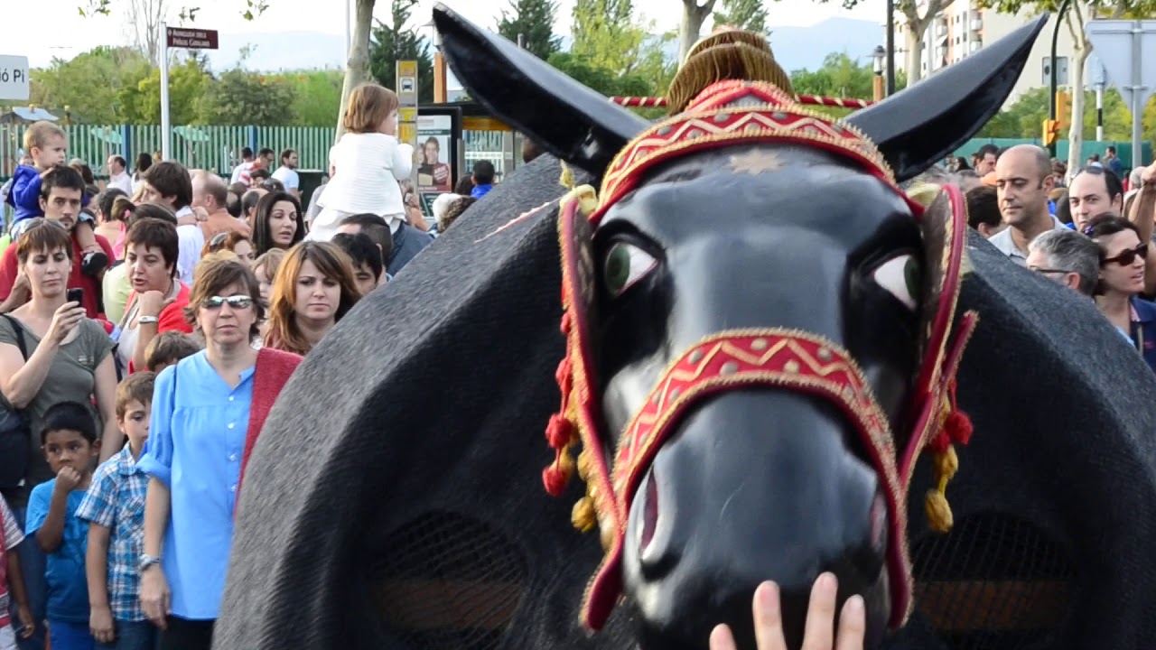 Mulassa de Reus - Festes de Misericòrdia de Reus (25/9/2012)