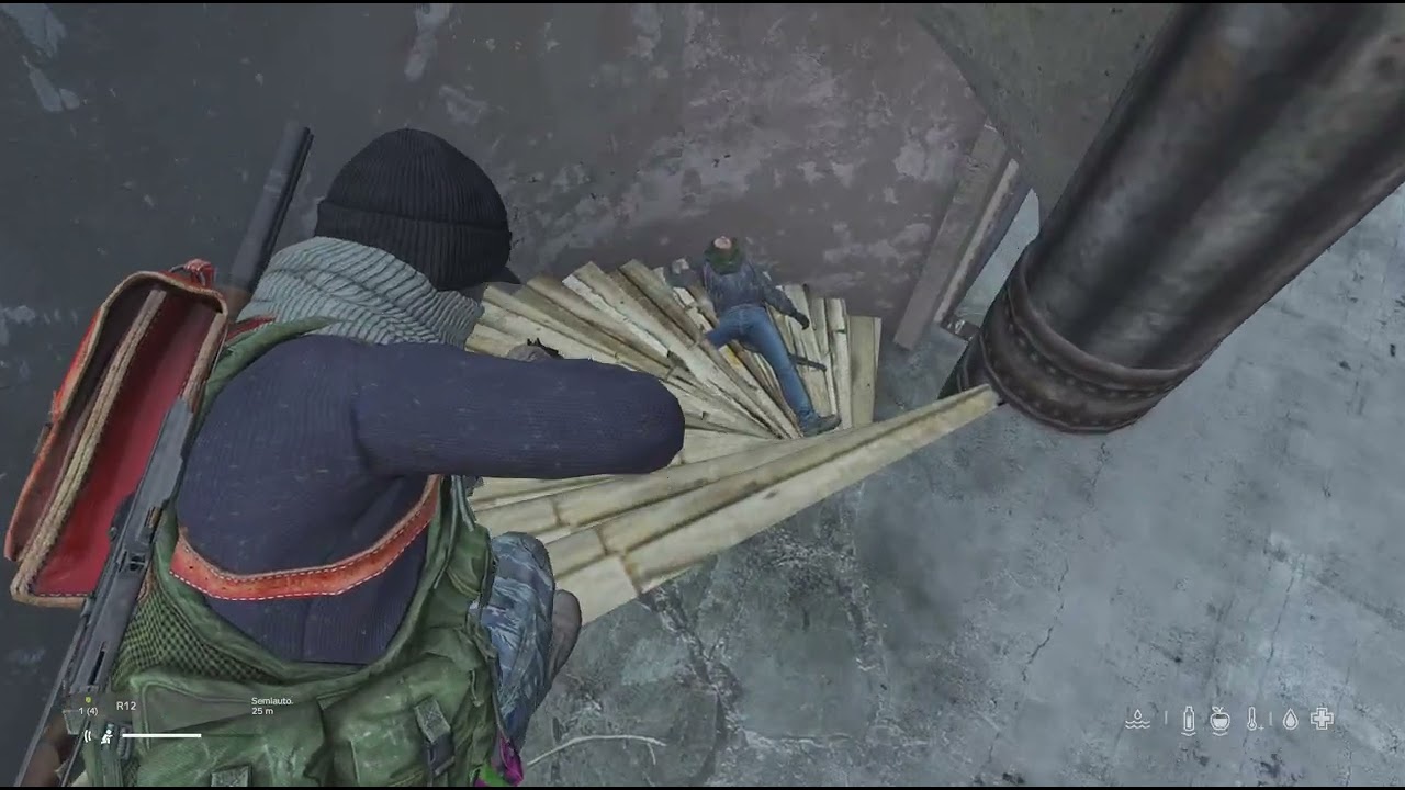 DayZ_20260217085905