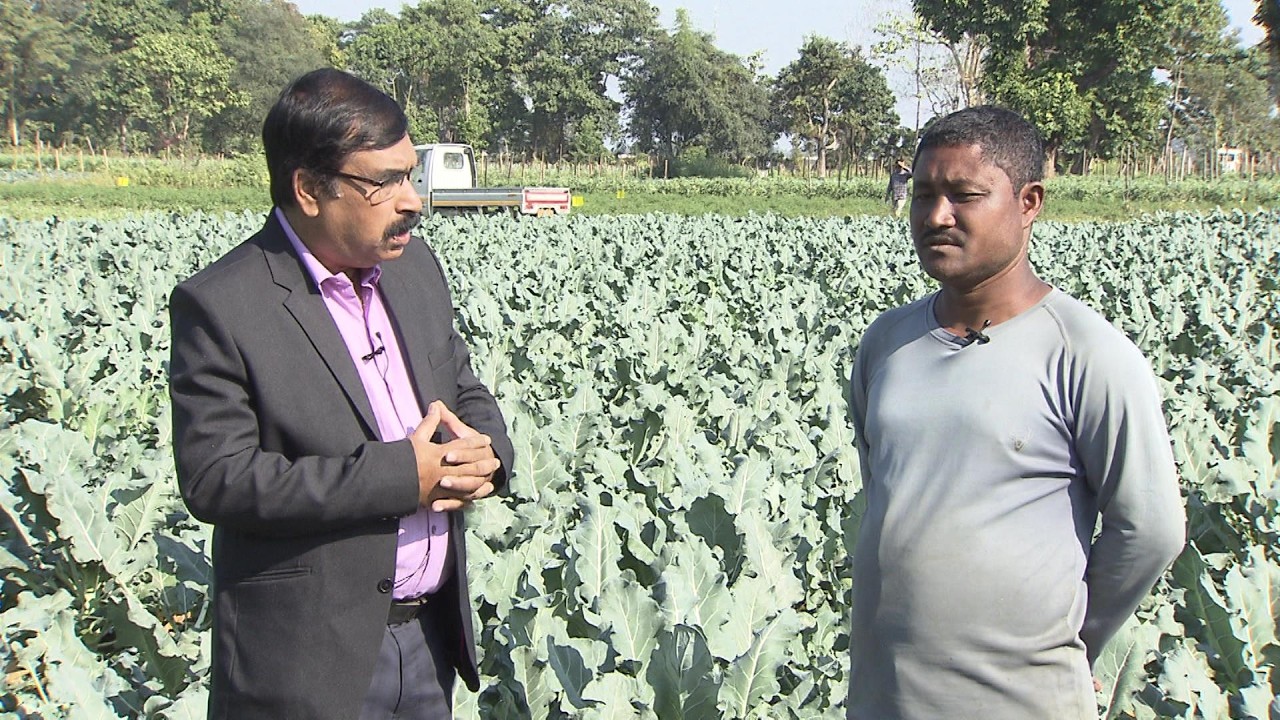 BIGYAN SANMOT SHAK PASOLIR  KHETI    DDK DIBRUGARH .