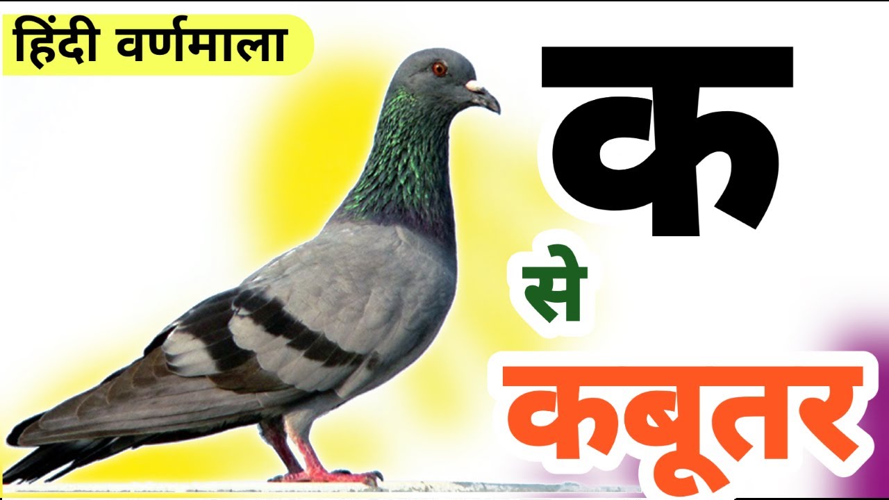#video - अआइईउऊ अ से अनार क से कबूतर KidsLearning