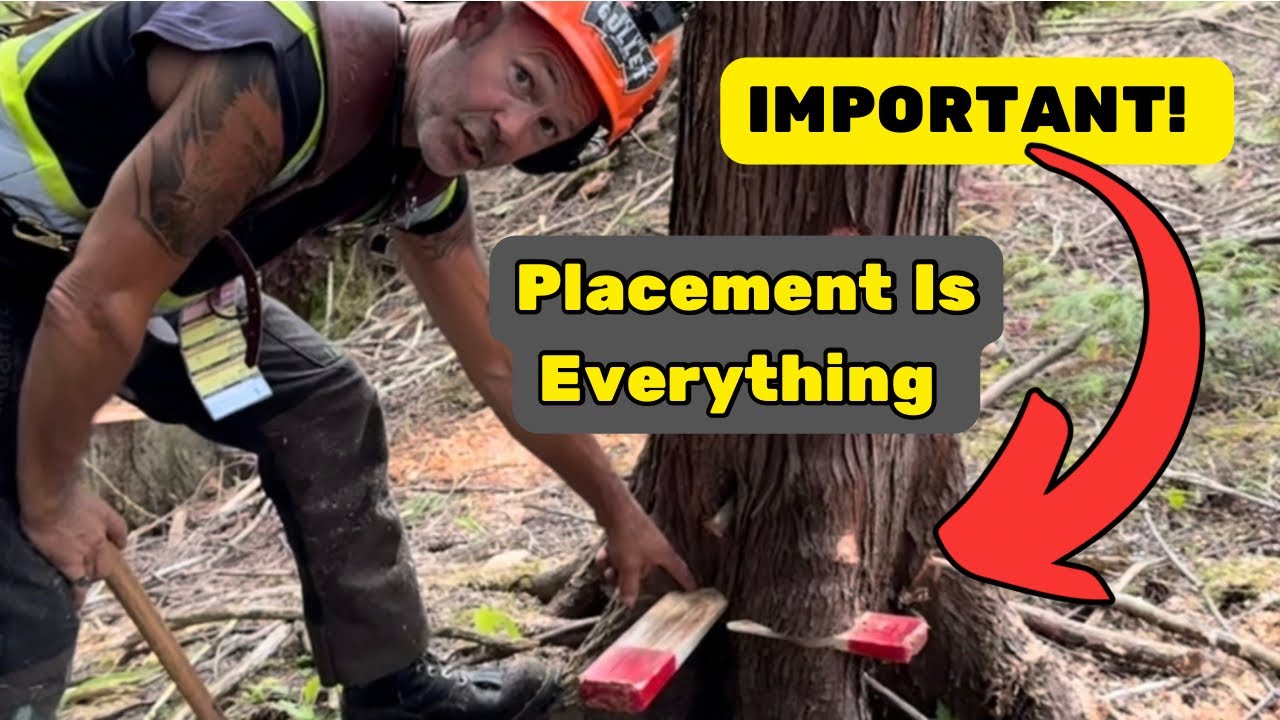Wedging Trees, Things To Watch Out For