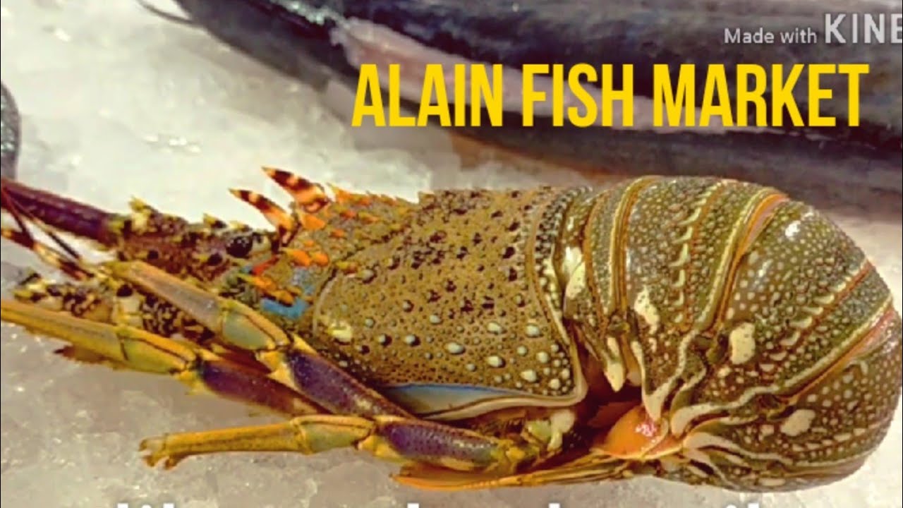 Alain Fish market uae / / അലൈൻ ഫിഷ് മാർക്കറ്റ്
