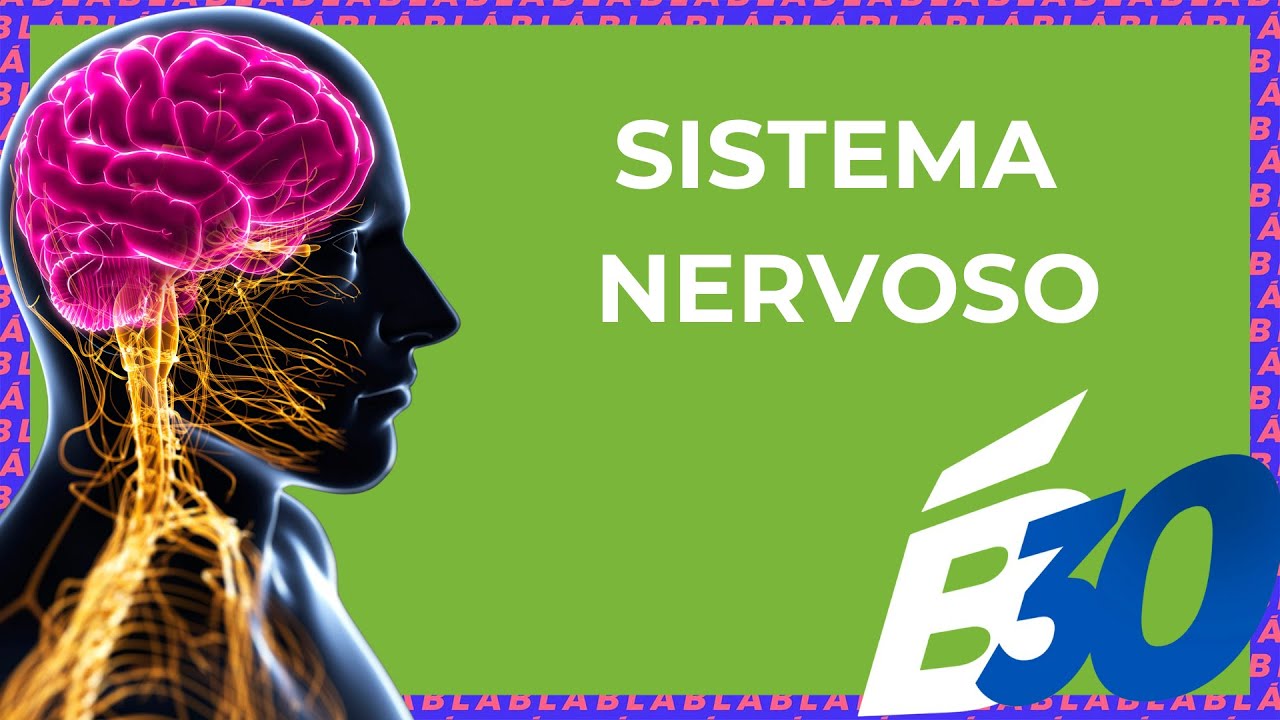 SISTEMA NERVOSO | Biologia em Meia Hora