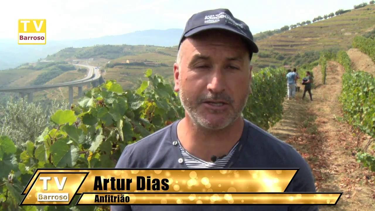 Vindima da Quinta da Balbina 2016