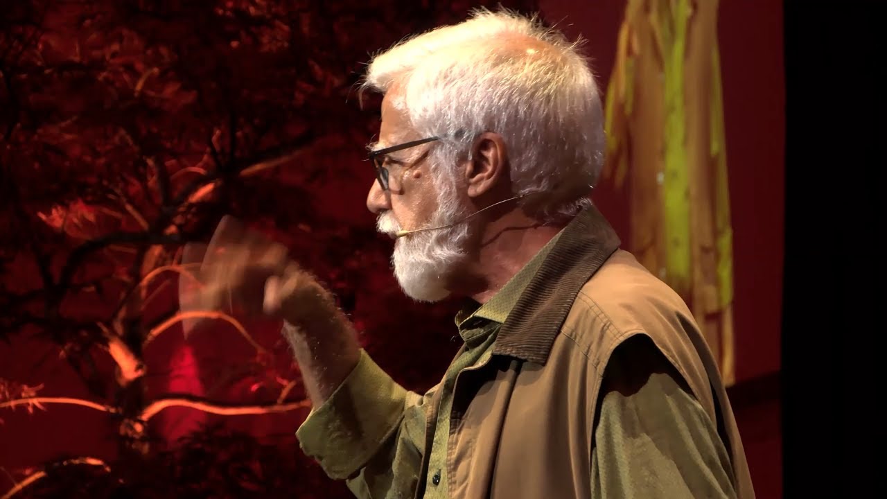Novas Construções Sociais | José Pacheco | TEDxPorto
