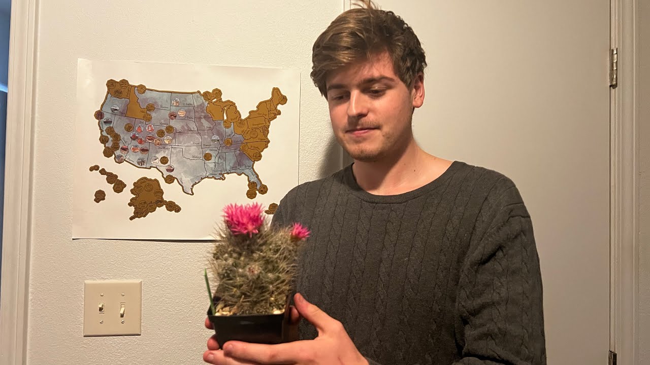 How to Care for Neoporteria Villo Cactus