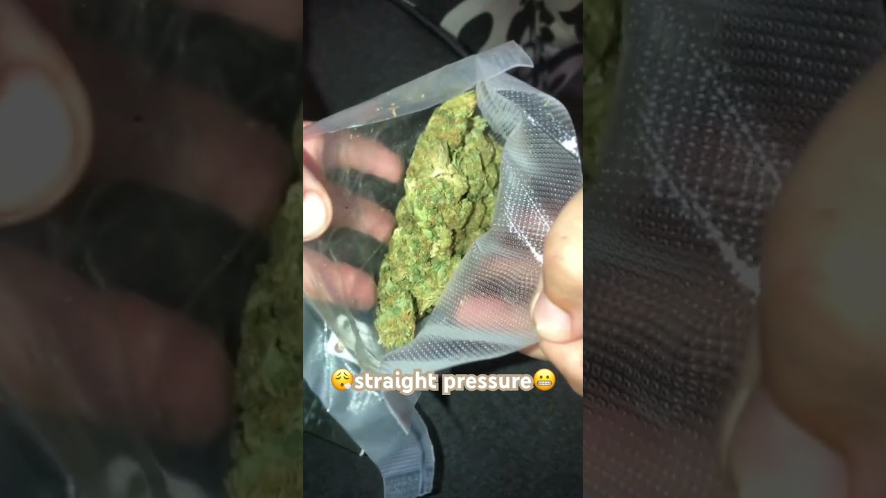 $35 smalls and mini ounce box review of OG Kush (gas or trash 🤫?)