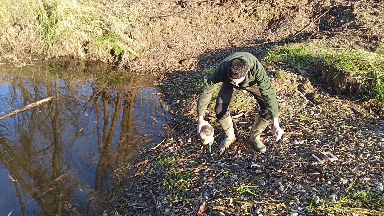 Motorizzare gli stampi - Motion duck decoys
