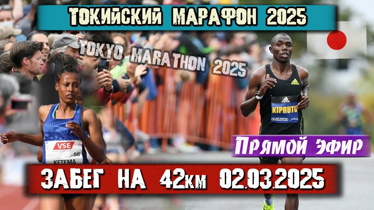 ТОКИЙСКИЙ МАРАФОН 2025 на 42 КМ. label - platinum. Прямой эфир из Японии 02.03.2025