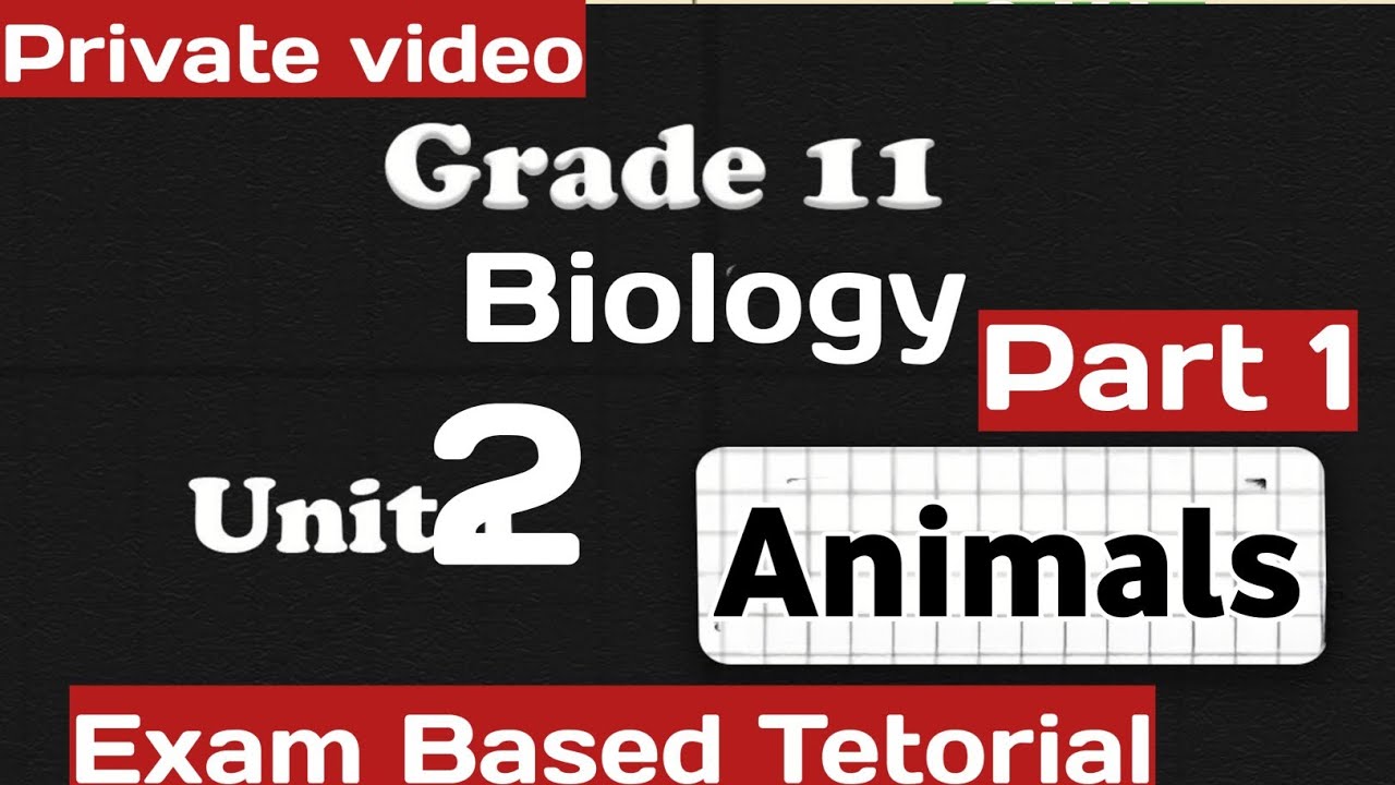 Grade 11 Unit 2 Animals part 1|Exam based Tetorial በምያሰደንቅ ማብራሪያ 😱