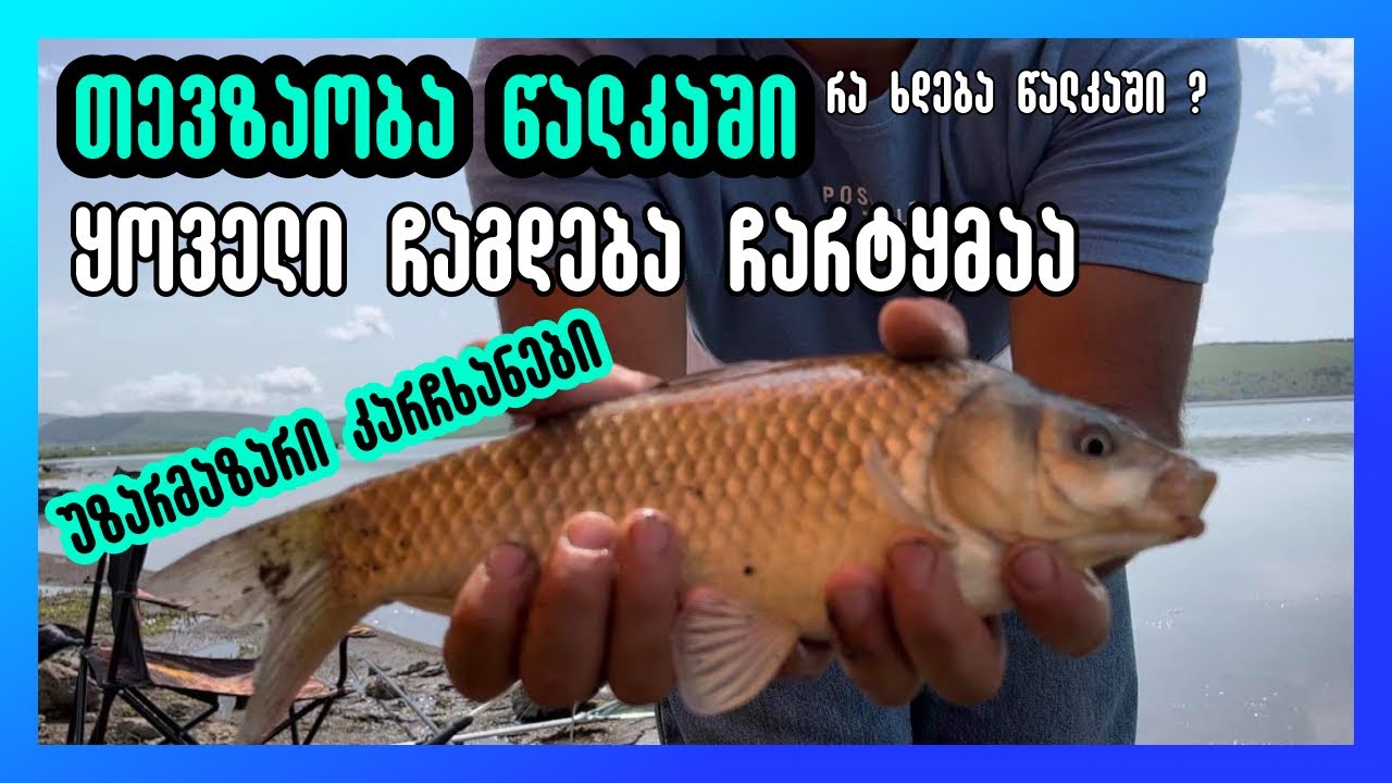 თევზაობა წალკაში | ყოველი ჩაგდება ჩარტყმააა 😮| უზარმაზარი კარჩხანები