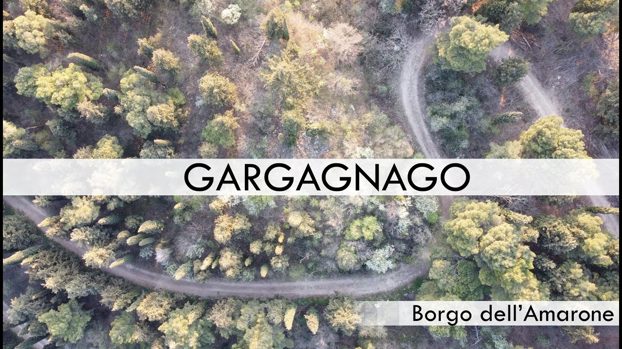 Gargagnago borgo dell'Amarone