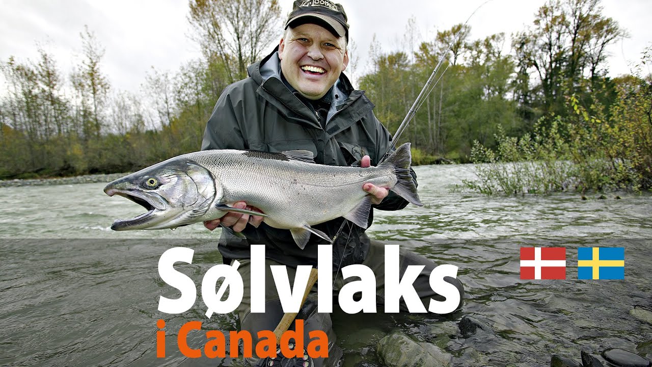 Sølvlaks i Canada