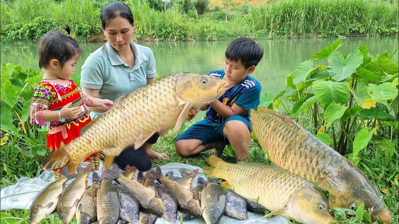 Go fishing for giant fish in the river to sell at the market | Build a bamboo fence