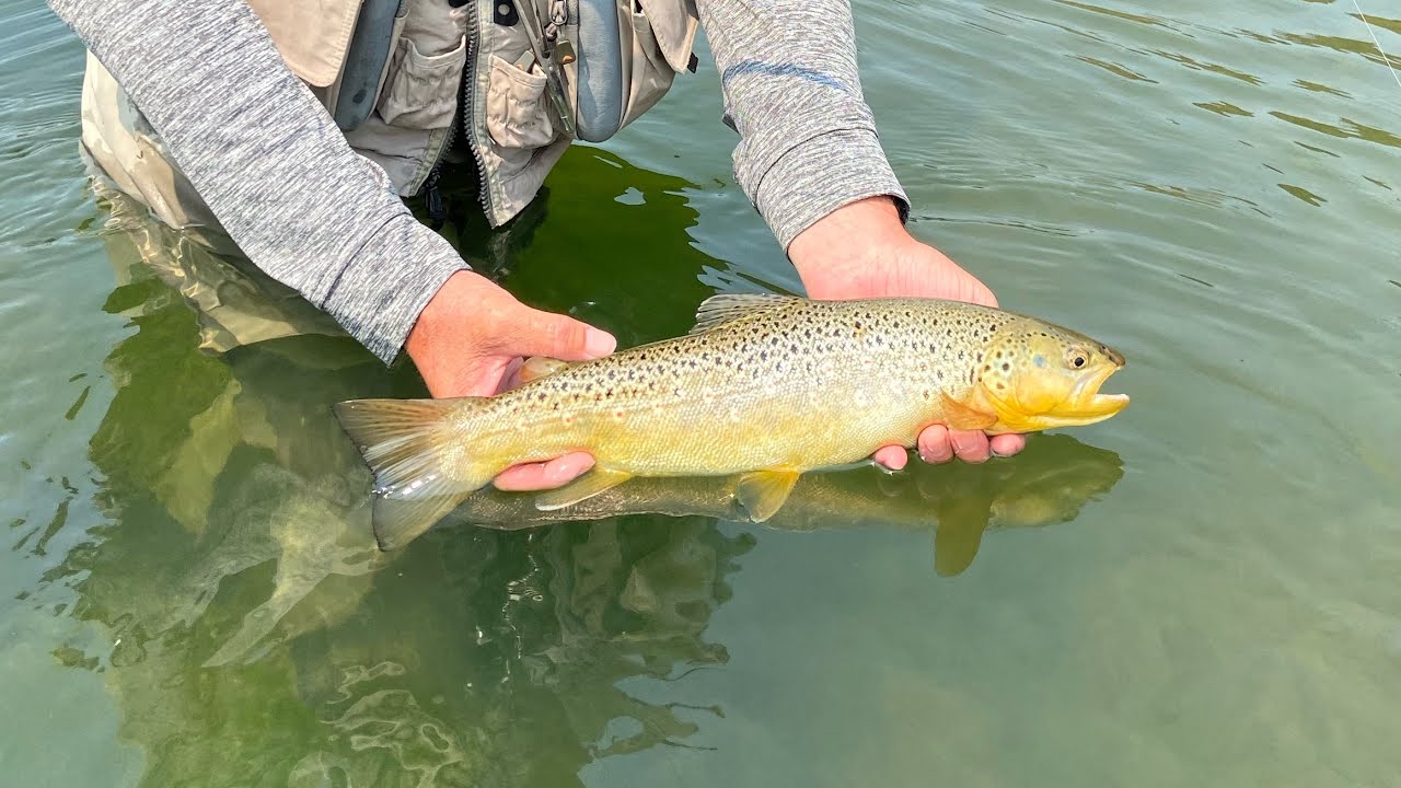 Fly Fishing the Owyhee River | 3 Generations on the River