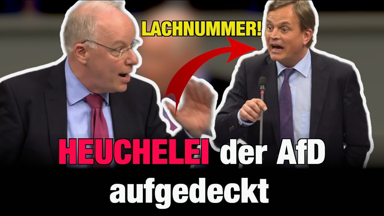 AfD will über faule Politiker reden 🤣